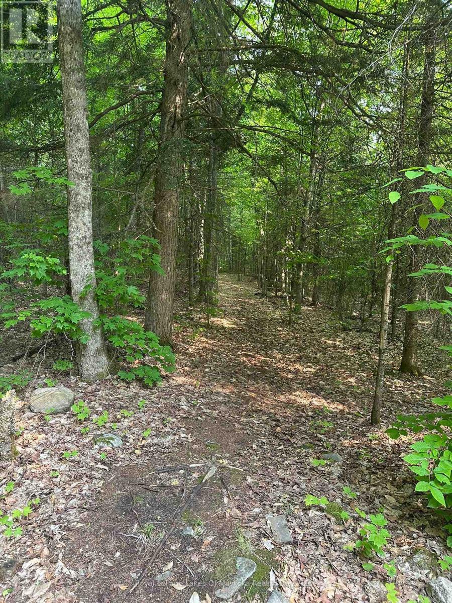 












280 PROUDFOOT ROAD

,
Joly,




Ontario
P0A1Z0

