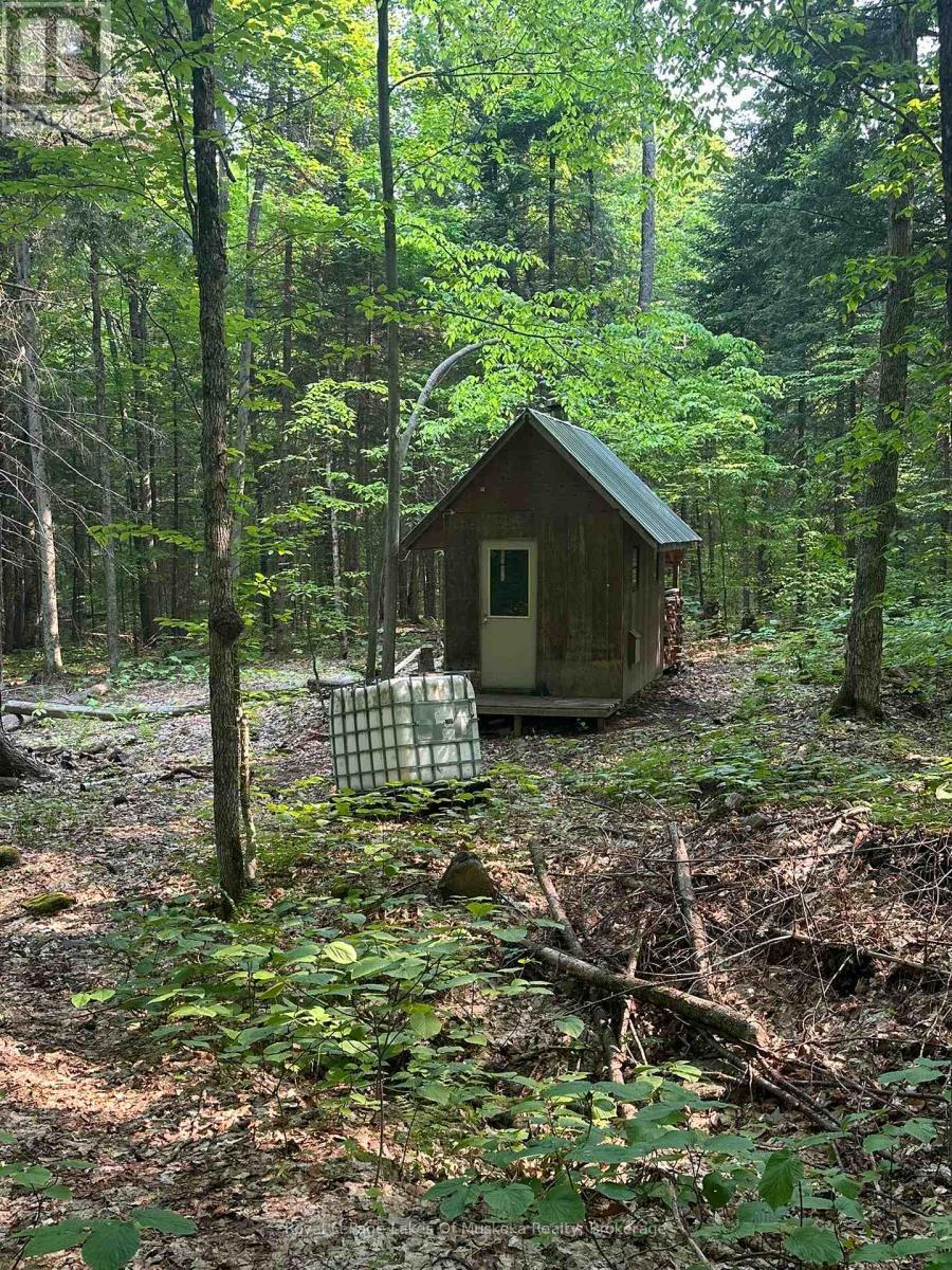












280 PROUDFOOT ROAD

,
Joly,




Ontario
P0A1Z0

