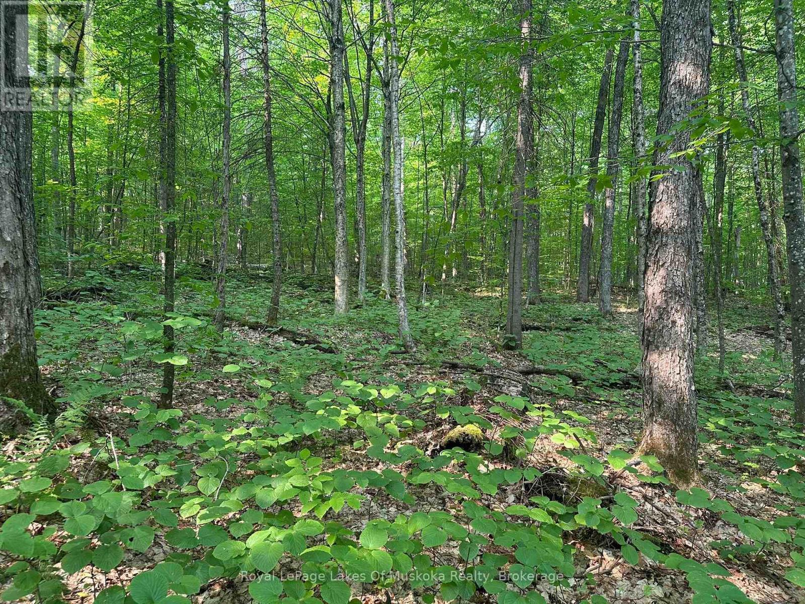 












280 PROUDFOOT ROAD

,
Joly,




Ontario
P0A1Z0


