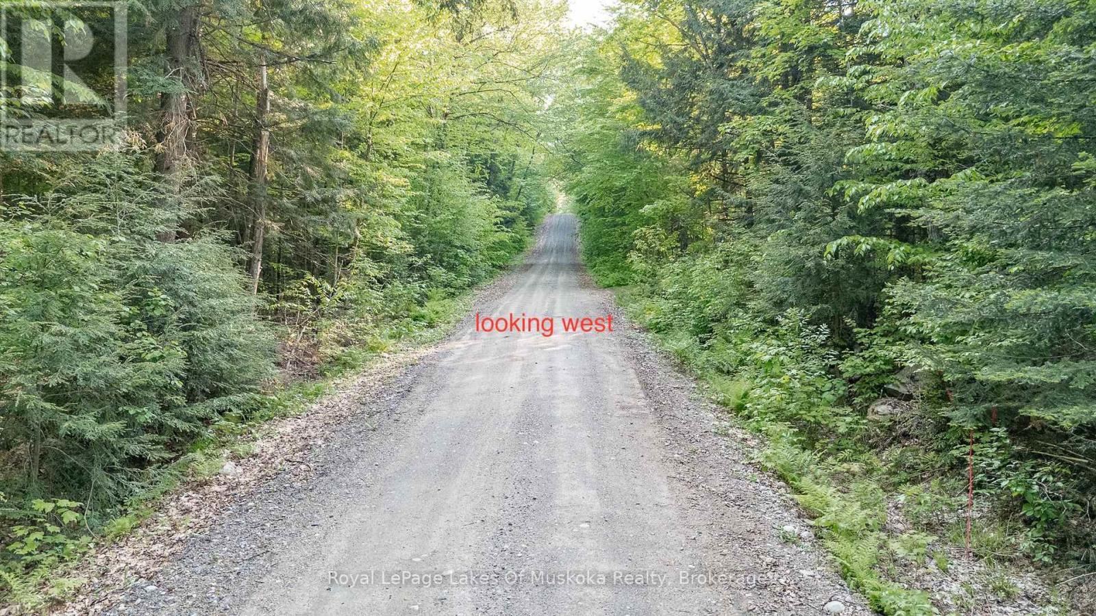












280 PROUDFOOT ROAD

,
Joly,




Ontario
P0A1Z0

