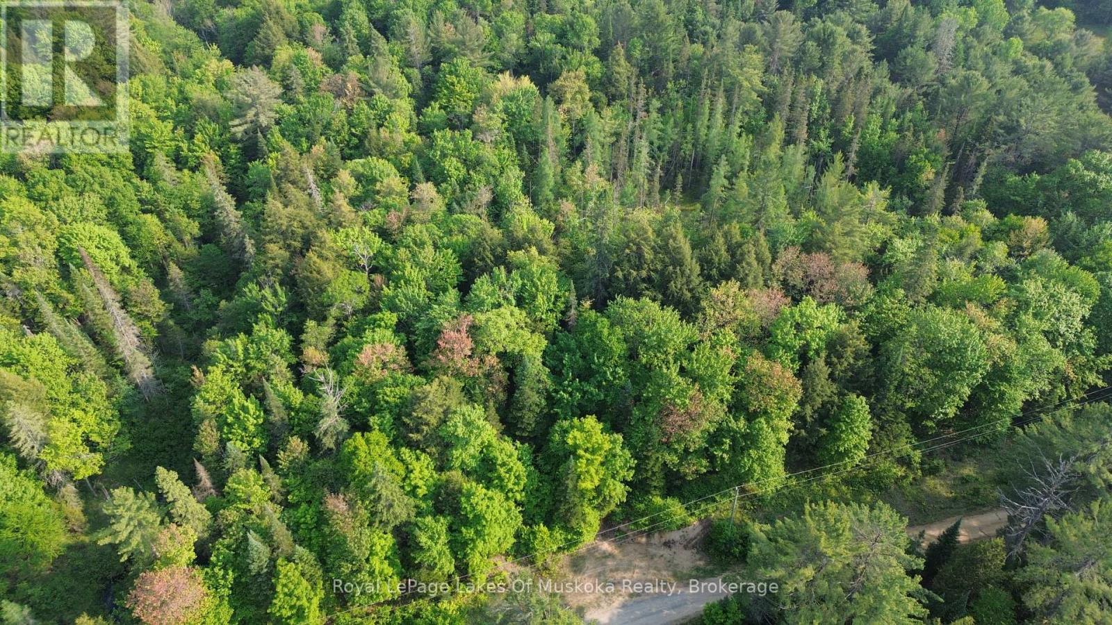 












75 CENTURIAN TRAIL

,
Huntsville (Chaffey),







Ontario
P1H2N5

