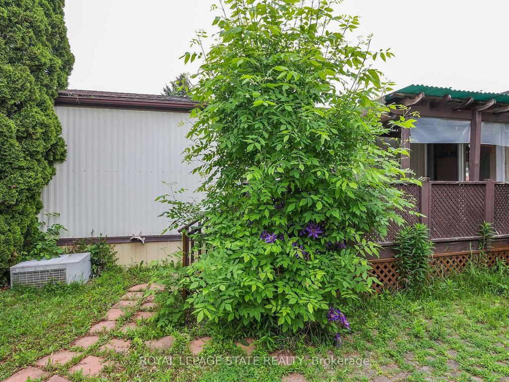 









4452


Jonathan

Lane,
Lincoln,




ON
L0R 1B1

