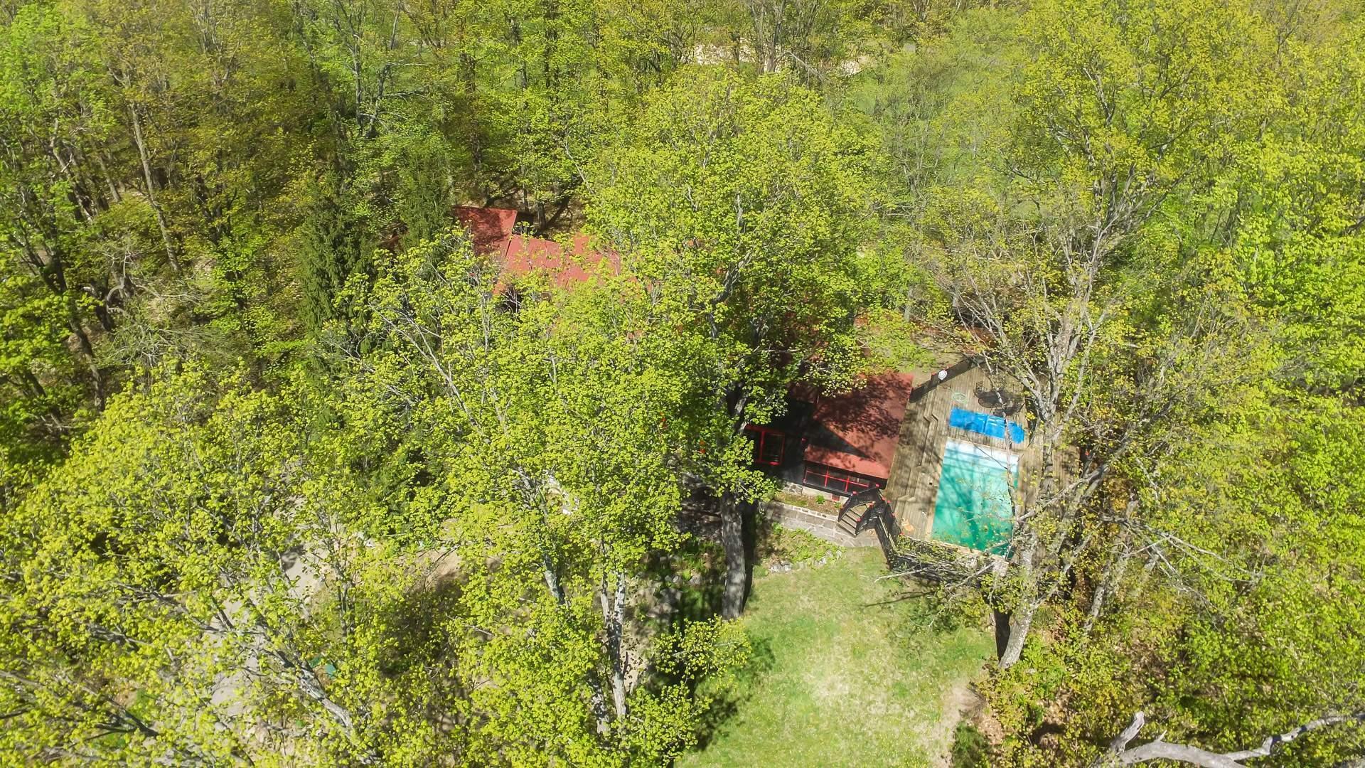 









338


Ch. des Critiques

,
Montebello,




QC
J0V1L0

