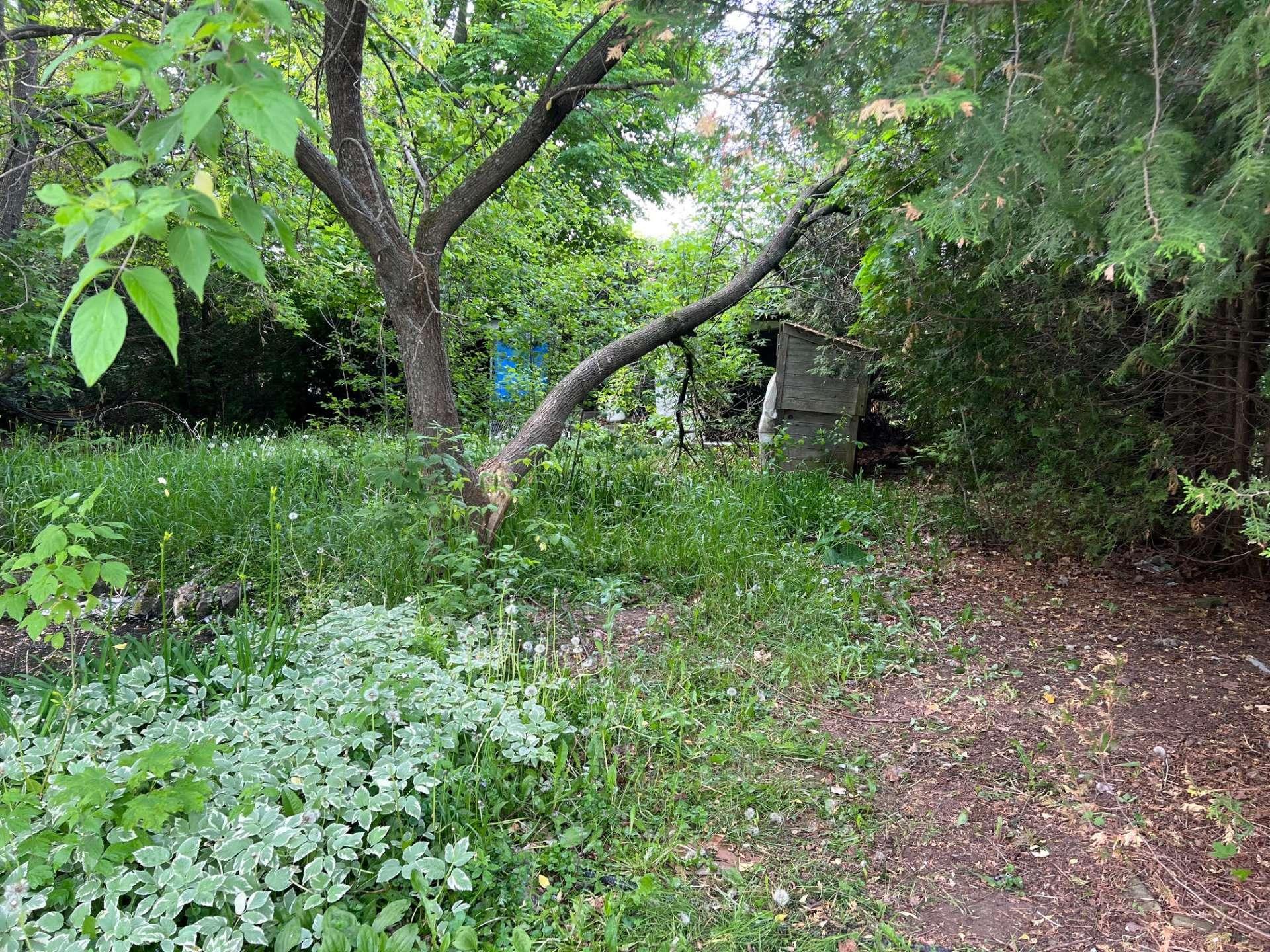 









81

 - 83


Rue Principale

,
Ripon,




QC
J0V1V0

