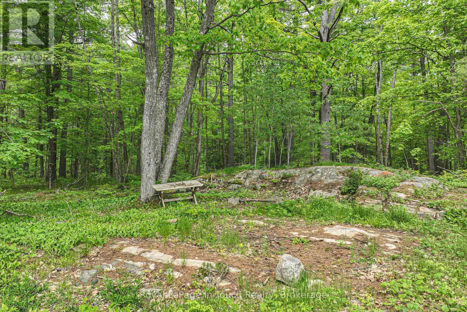 












19 SR404 SEVERN RIVER SHORE

,
Muskoka Lakes (Wood (Muskoka Lakes)),







Ontario
L0K1E0


