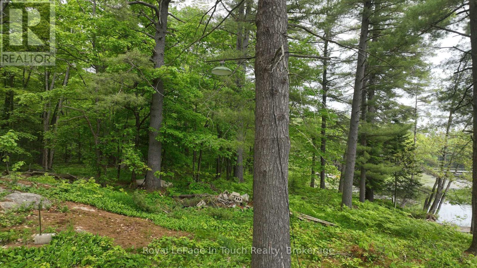 












19 SR404 SEVERN RIVER SHORE

,
Muskoka Lakes (Wood (Muskoka Lakes)),







Ontario
L0K1E0

