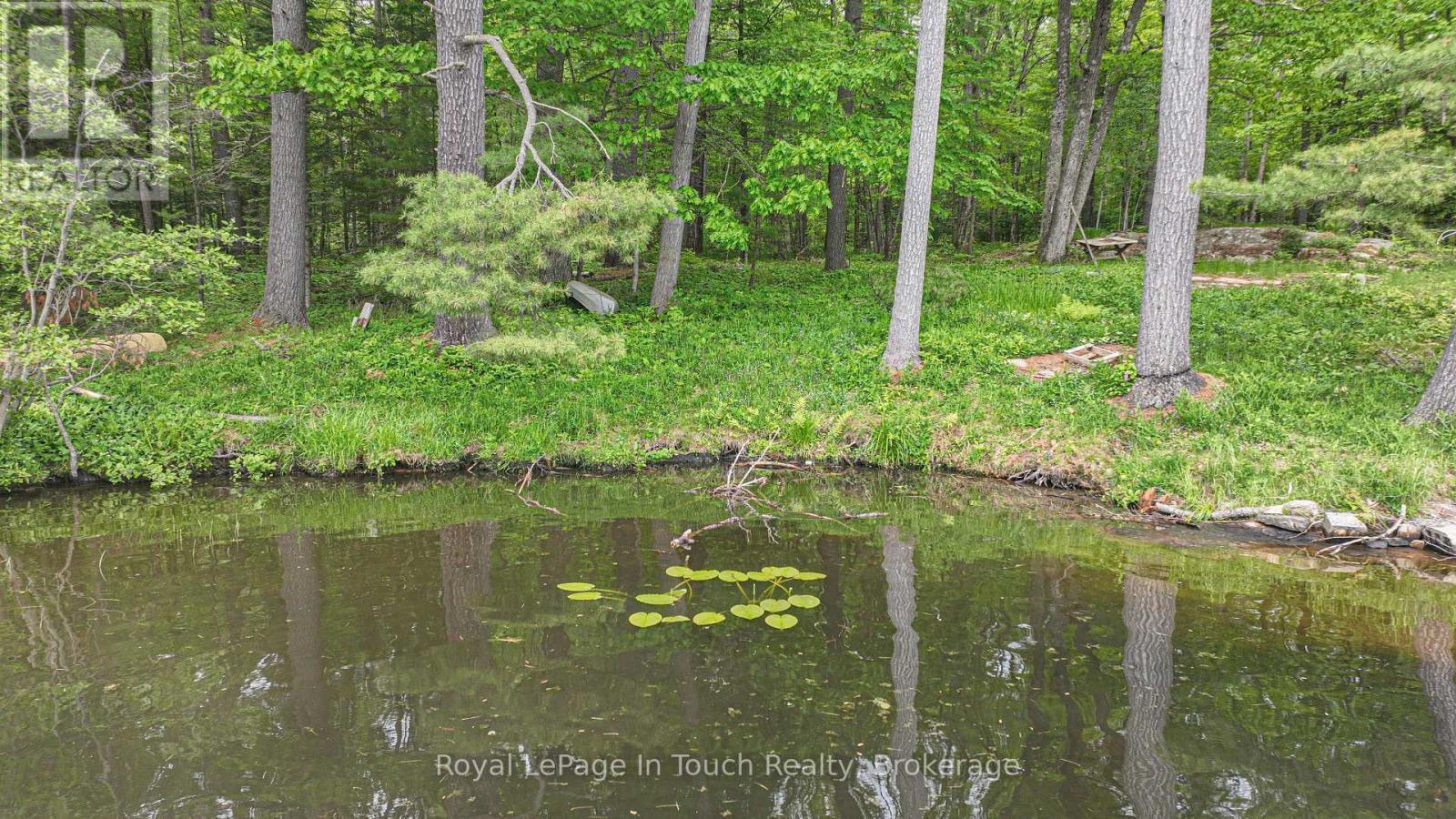 












19 SR404 SEVERN RIVER SHORE

,
Muskoka Lakes (Wood (Muskoka Lakes)),







Ontario
L0K1E0

