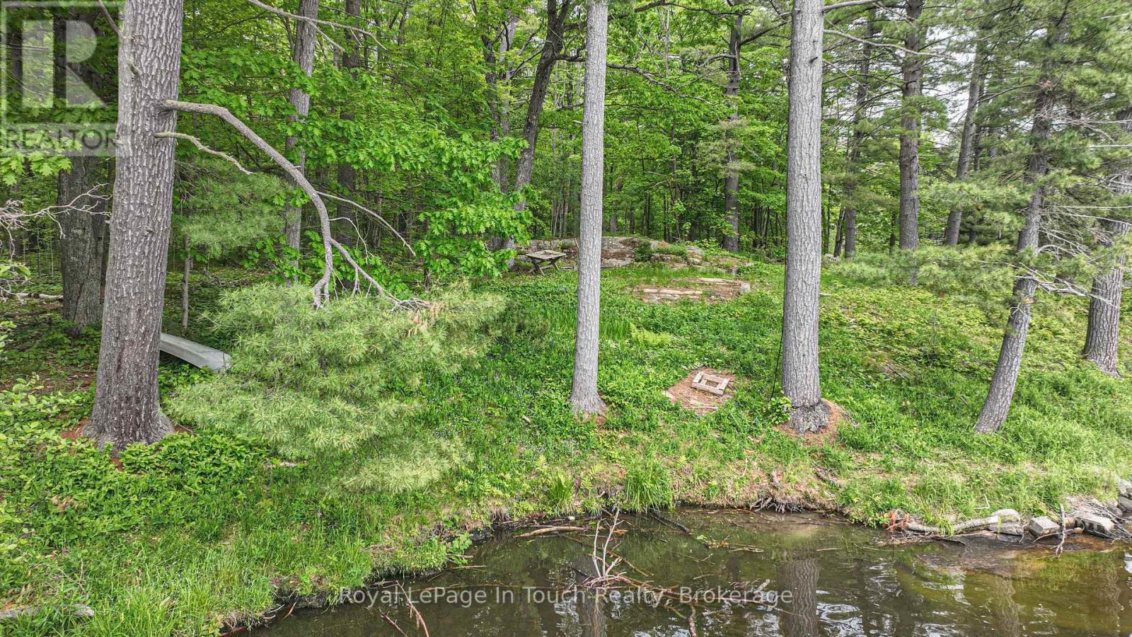 












19 SR404 SEVERN RIVER SHORE

,
Muskoka Lakes (Wood (Muskoka Lakes)),







Ontario
L0K1E0

