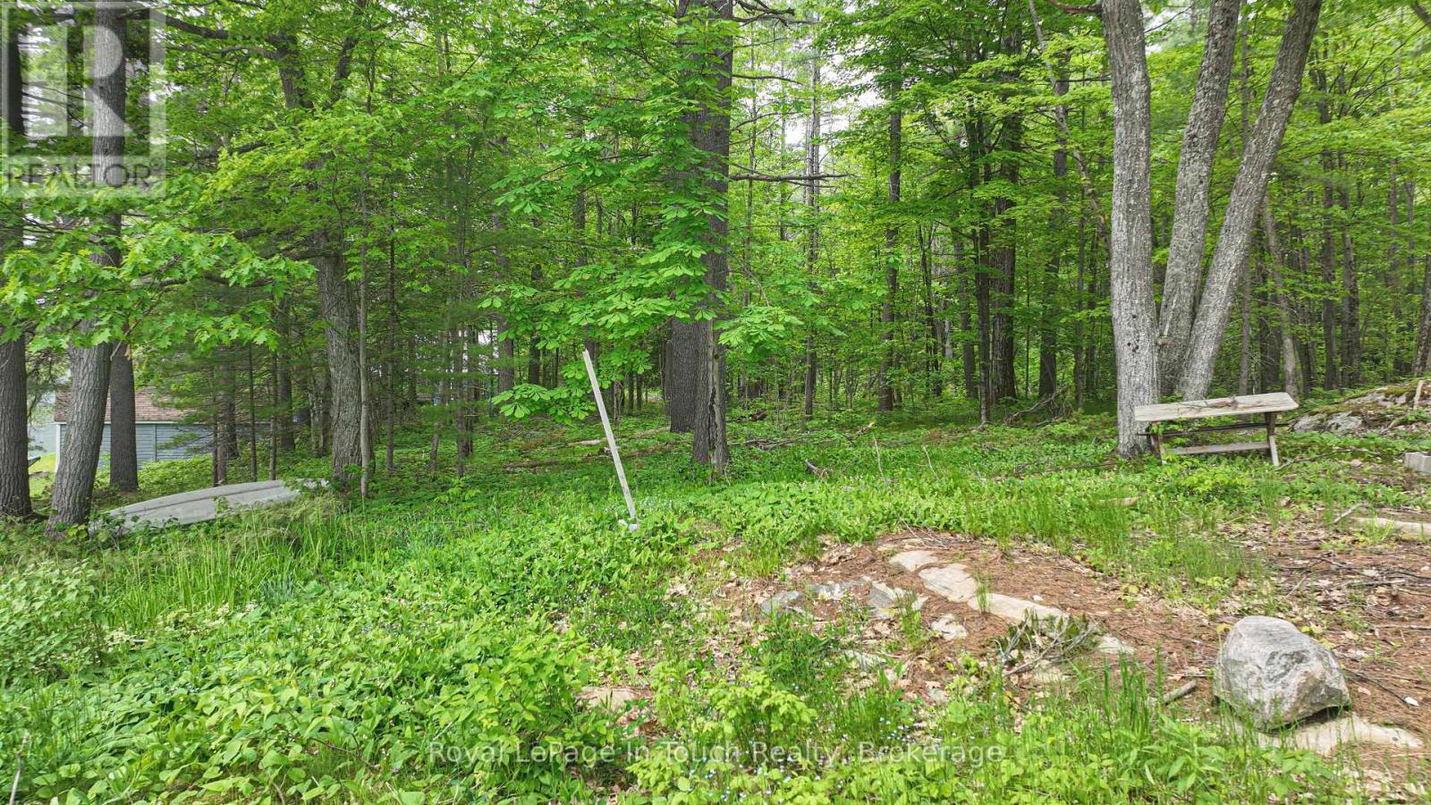 












19 SR404 SEVERN RIVER SHORE

,
Muskoka Lakes (Wood (Muskoka Lakes)),







Ontario
L0K1E0

