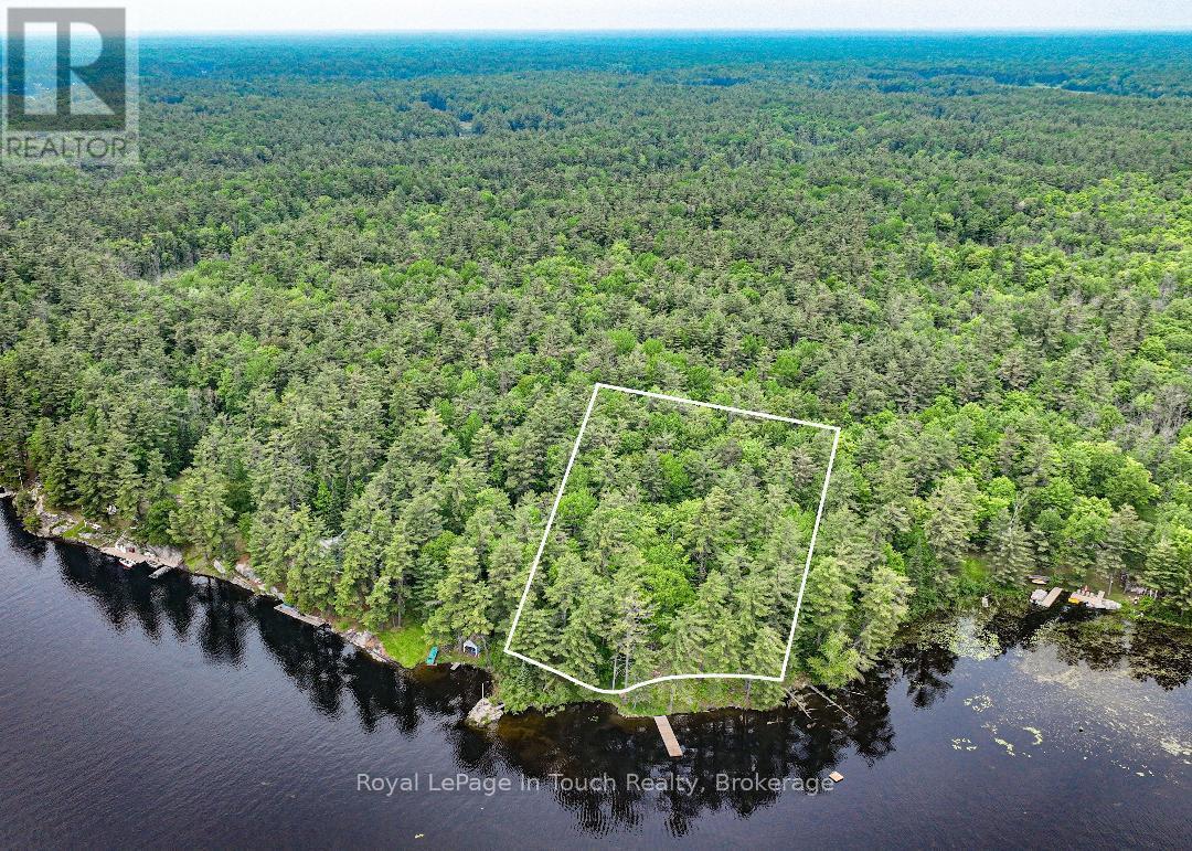 












19 SR404 SEVERN RIVER SHORE

,
Muskoka Lakes (Wood (Muskoka Lakes)),







Ontario
L0K1E0

