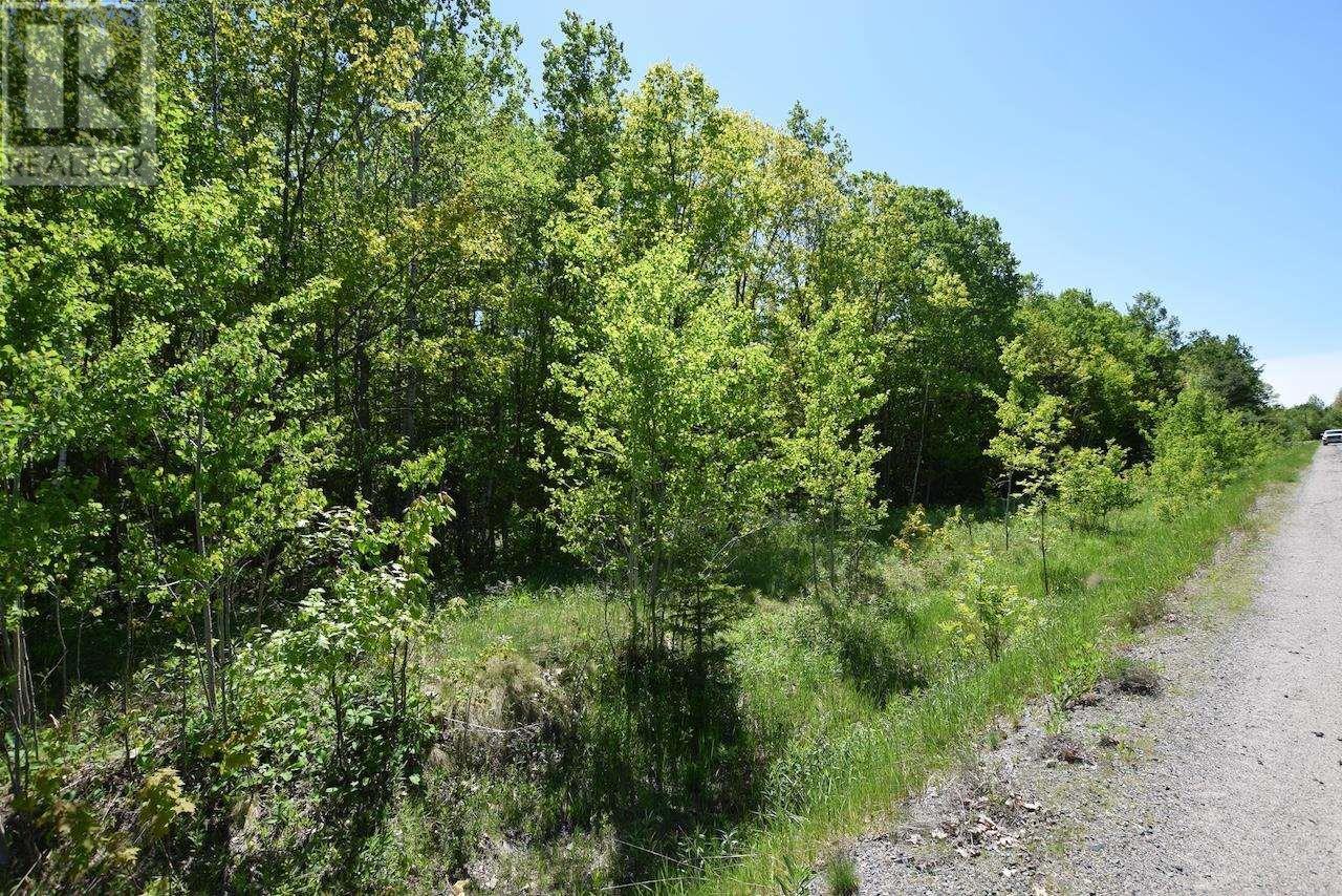 












1 PT 557 at Royer Rd HWY

,
Blind River,







Ontario
P0R1B0

