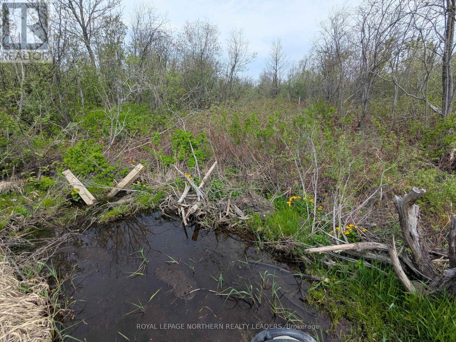 












CON 2 N PT LOT 12 WHITNEY

,
Timmins (SP - Connaught Hill),







Ontario
P0N1H0

