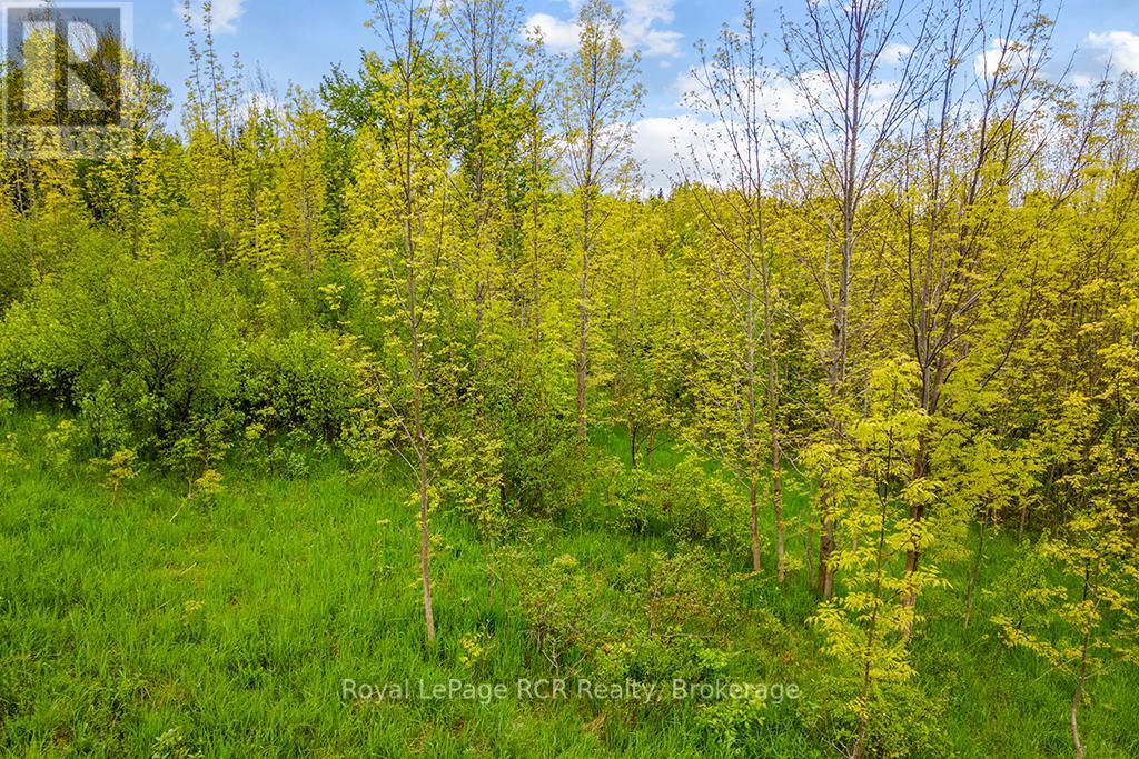 












N/A CONC 11

,
Meaford,







Ontario
N4L0A2

