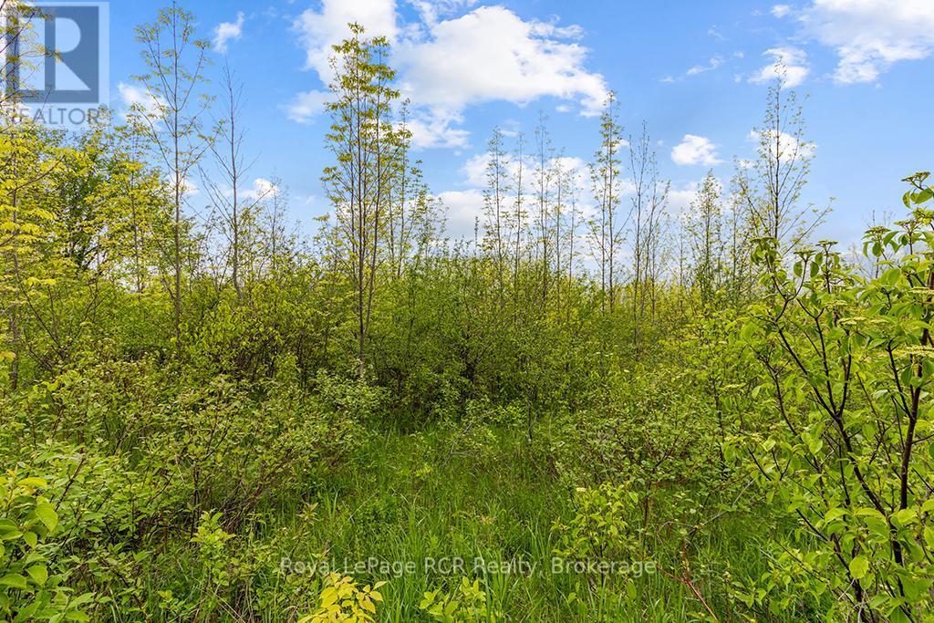 












N/A CONC 11

,
Meaford,







Ontario
N4L0A2

