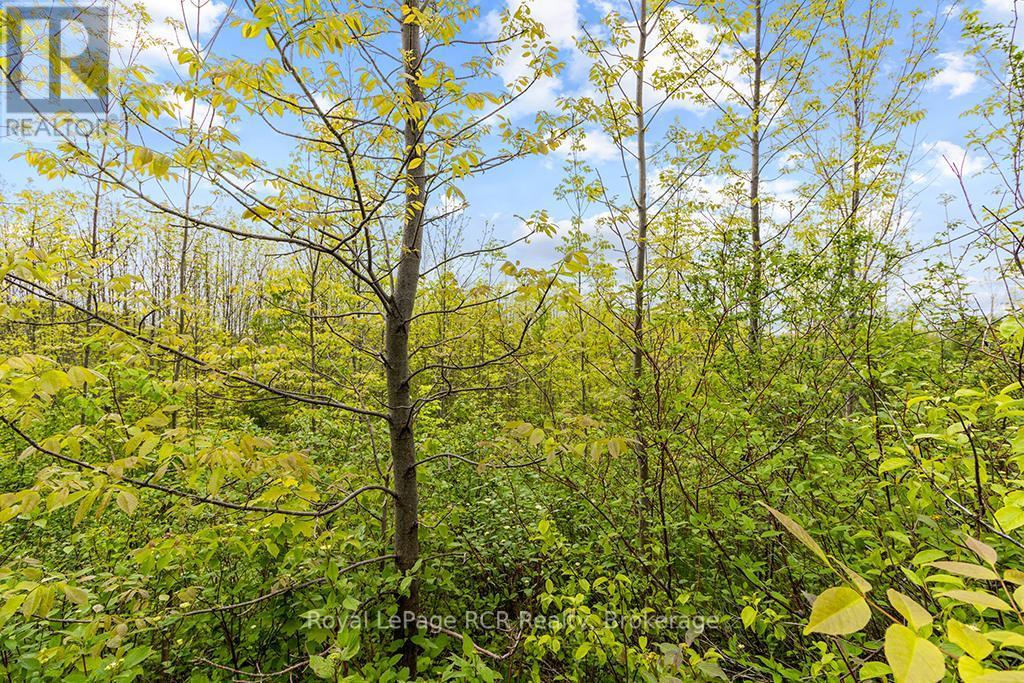 












N/A CONC 11

,
Meaford,







Ontario
N4L0A2

