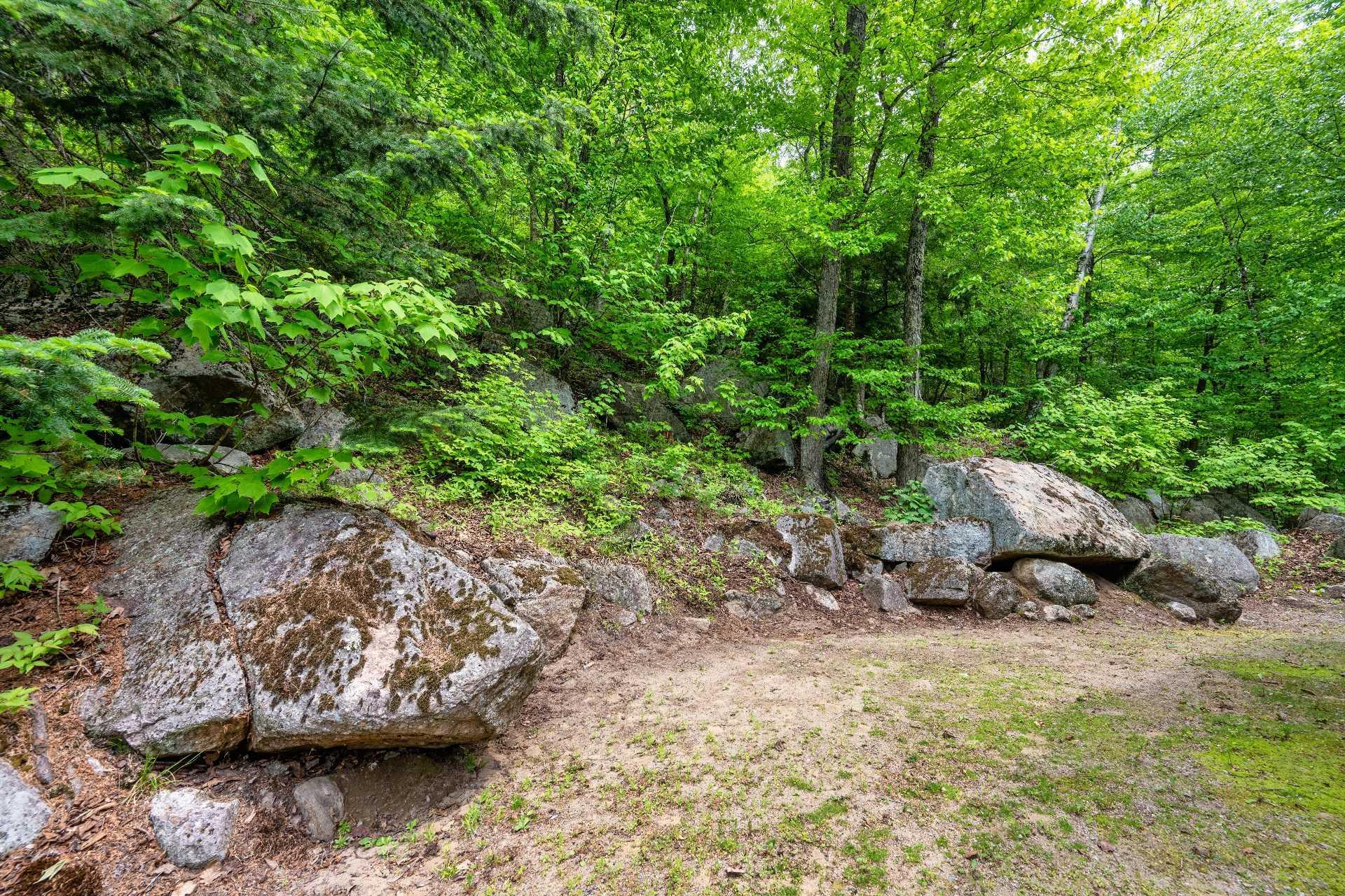









53


Ch. du Lac-Mitchell

,
La Macaza,




QC
J0T1R0

