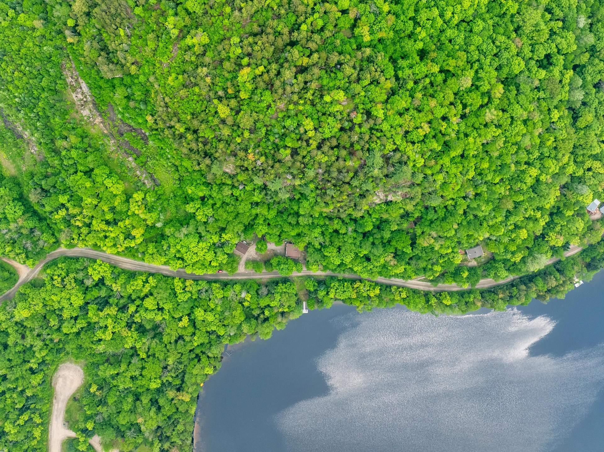 









53


Ch. du Lac-Mitchell

,
La Macaza,




QC
J0T1R0

