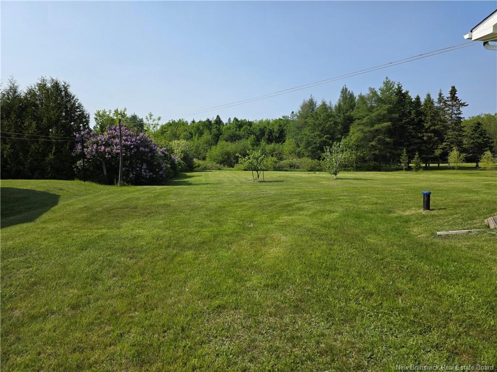 









90


Kentlodge

,
Beresford,




NB
E8K 1B1

