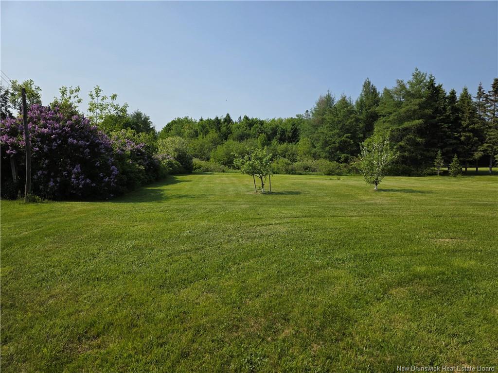 









90


Kentlodge

,
Beresford,




NB
E8K 1B1

