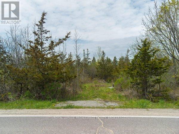 












1685 SUNNYSIDE ROAD

,
Kingston (City North of 401),







Ontario
K7L4V4

