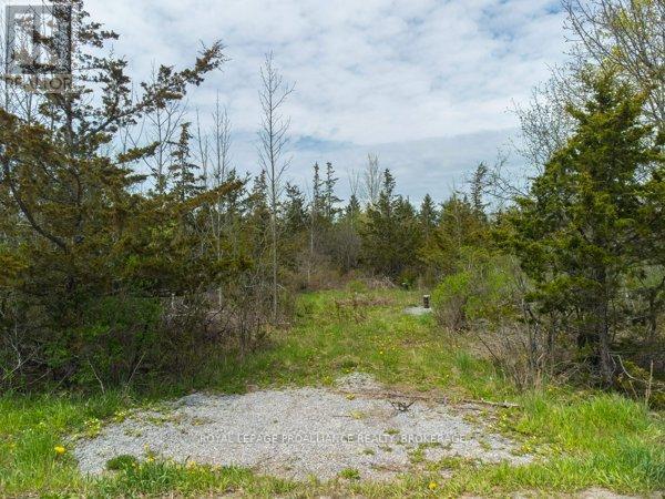 












1685 SUNNYSIDE ROAD

,
Kingston (City North of 401),







Ontario
K7L4V4

