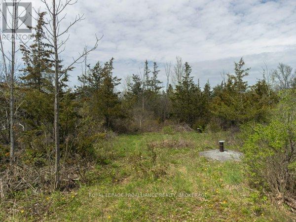 












1685 SUNNYSIDE ROAD

,
Kingston (City North of 401),







Ontario
K7L4V4

