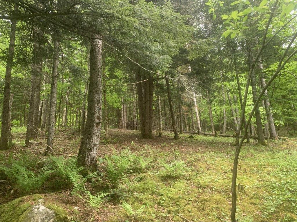 












Ch. de St-Michel

,
Brownsburg-Chatham,







QC
J8G2N3


