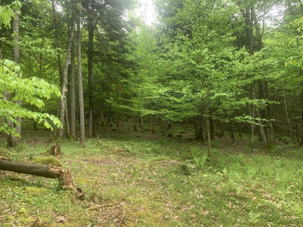 












Ch. de St-Michel

,
Brownsburg-Chatham,







QC
J8G2N3

