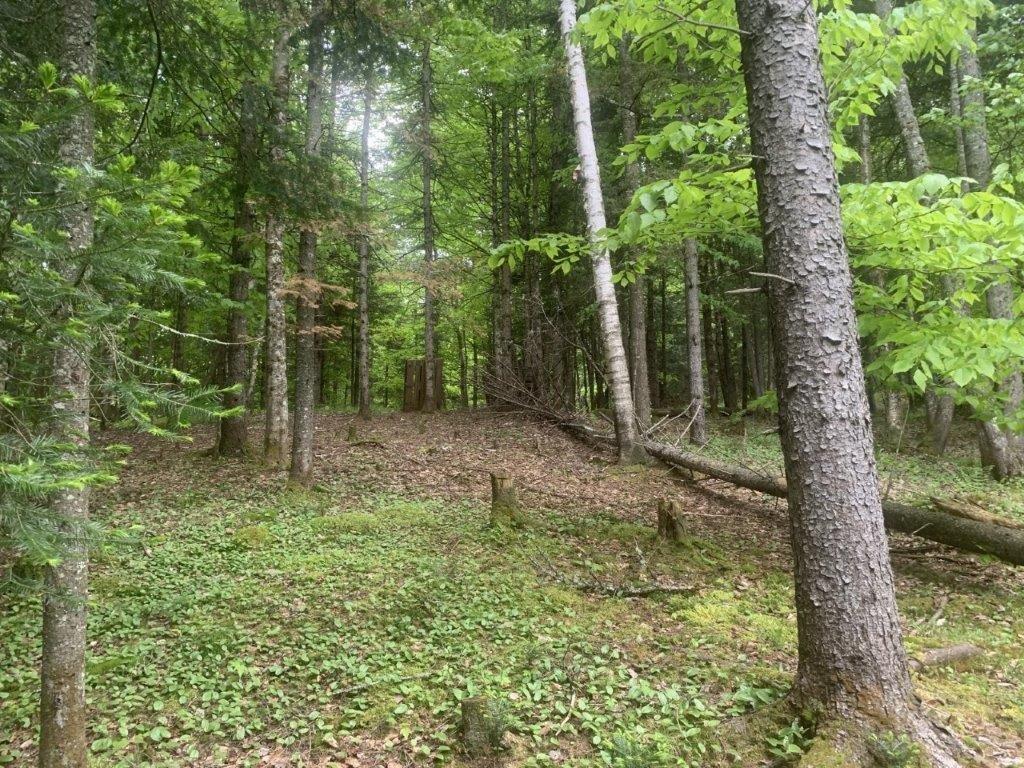 












Ch. de St-Michel

,
Brownsburg-Chatham,







QC
J8G2N3

