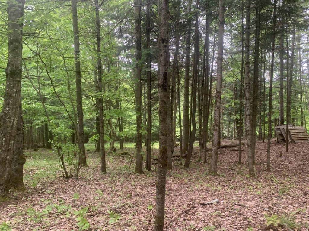 












Ch. de St-Michel

,
Brownsburg-Chatham,







QC
J8G2N3

