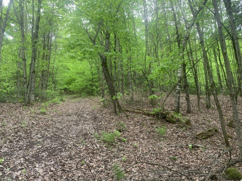 












Ch. de St-Michel

,
Brownsburg-Chatham,







QC
J8G2N3

