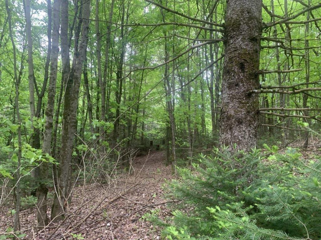 












Ch. de St-Michel

,
Brownsburg-Chatham,







QC
J8G2N3

