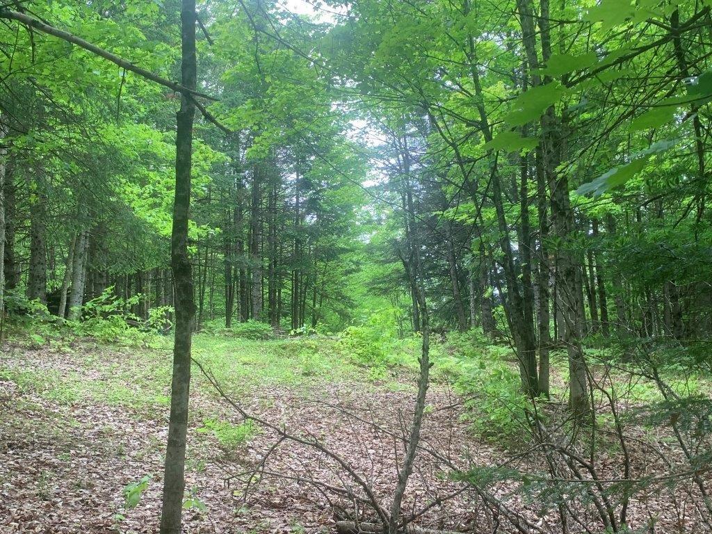 












Ch. de St-Michel

,
Brownsburg-Chatham,







QC
J8G2N3


