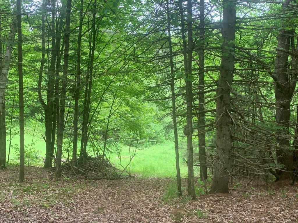 












Ch. de St-Michel

,
Brownsburg-Chatham,







QC
J8G2N3

