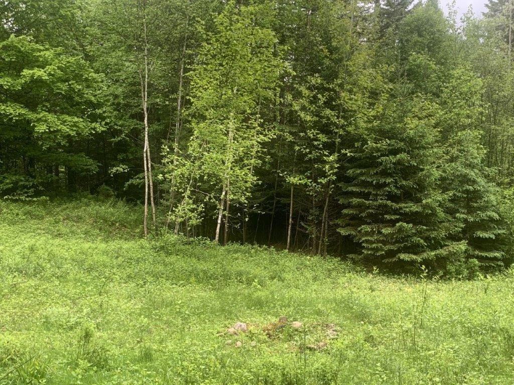 












Ch. de St-Michel

,
Brownsburg-Chatham,







QC
J8G2N3

