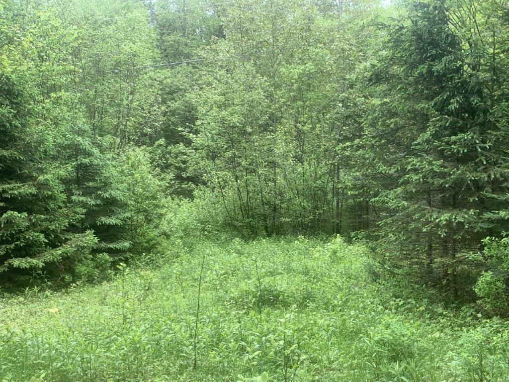 












Ch. de St-Michel

,
Brownsburg-Chatham,







QC
J8G2N3

