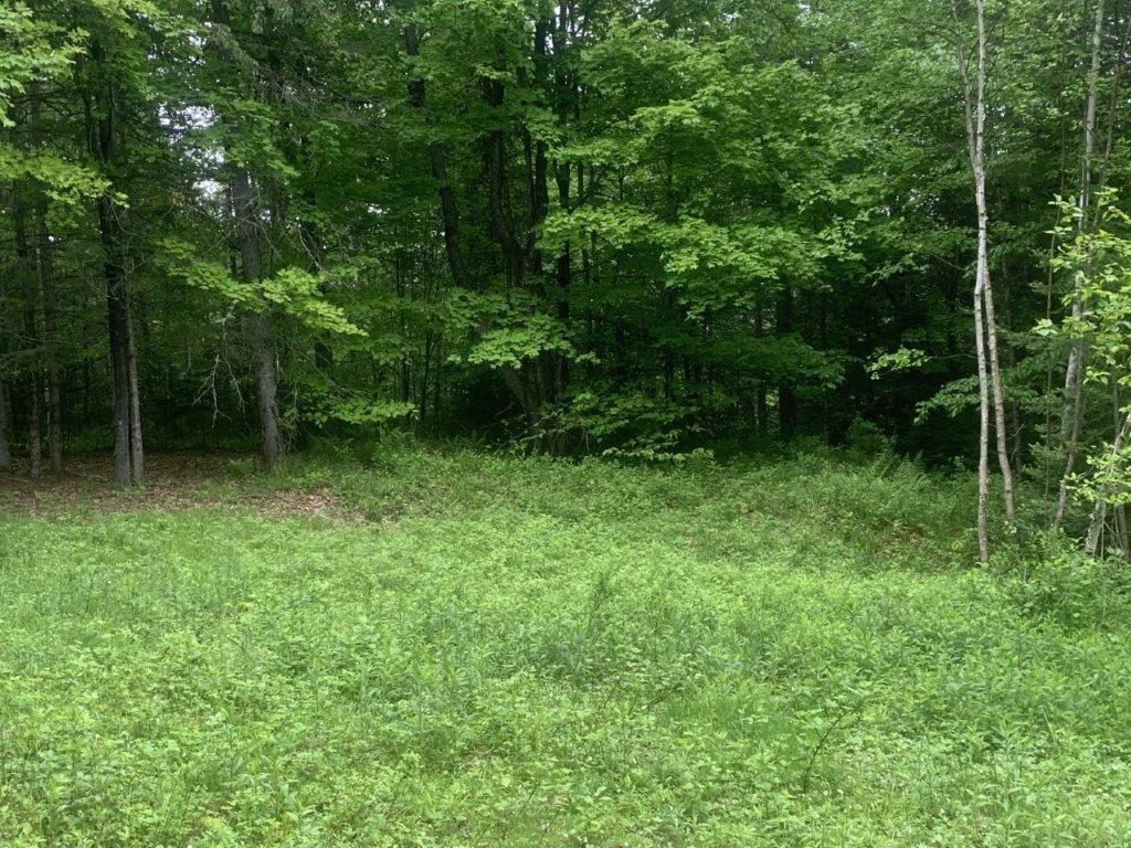 












Ch. de St-Michel

,
Brownsburg-Chatham,







QC
J8G2N3

