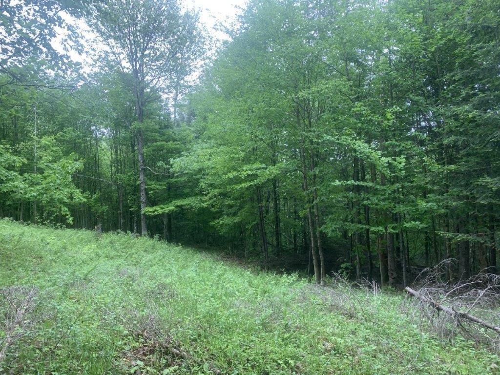 












Ch. de St-Michel

,
Brownsburg-Chatham,







QC
J8G2N3

