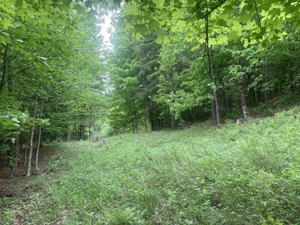 












Ch. de St-Michel

,
Brownsburg-Chatham,







QC
J8G2N3

