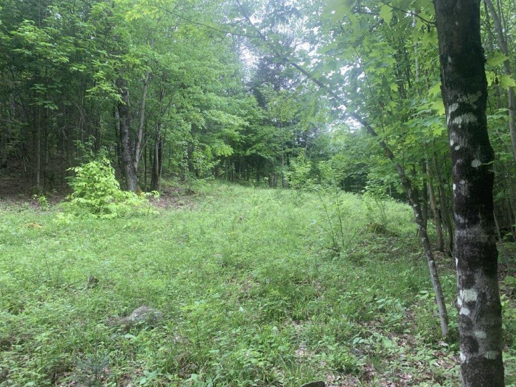 












Ch. de St-Michel

,
Brownsburg-Chatham,







QC
J8G2N3

