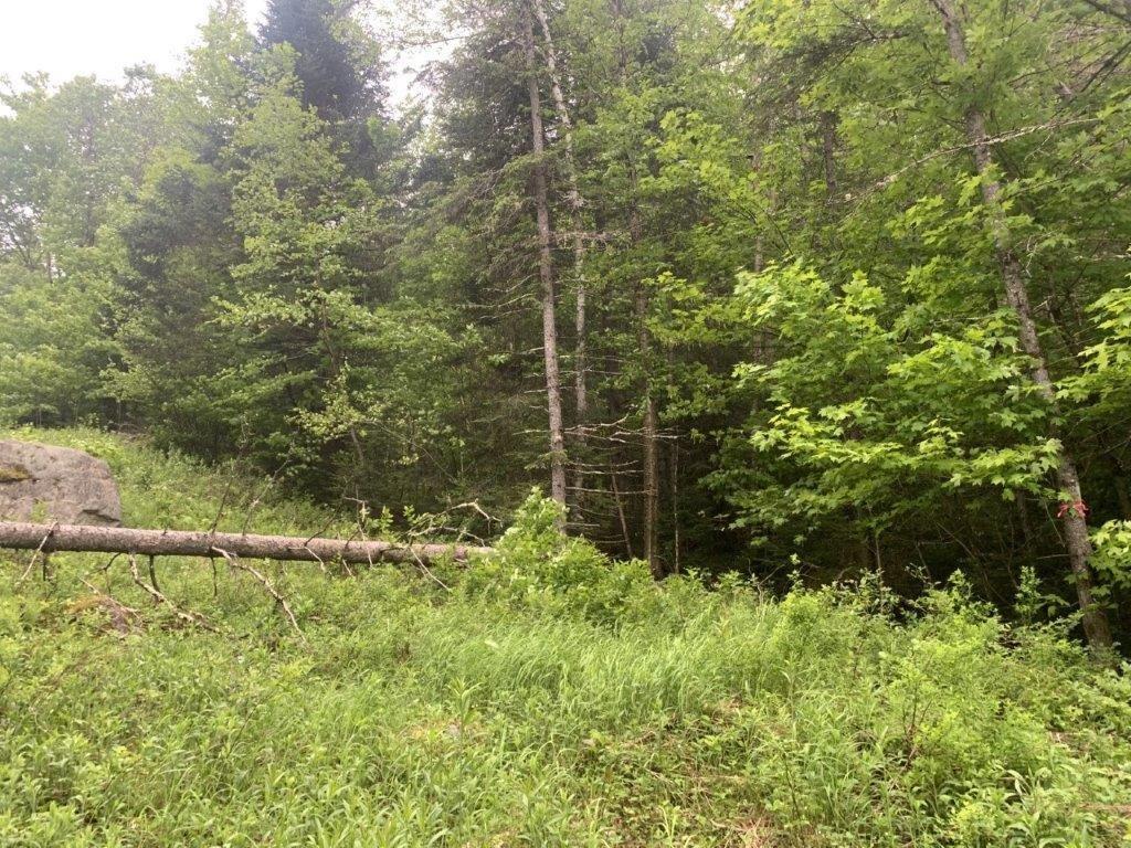 












Ch. de St-Michel

,
Brownsburg-Chatham,







QC
J8G2N3

