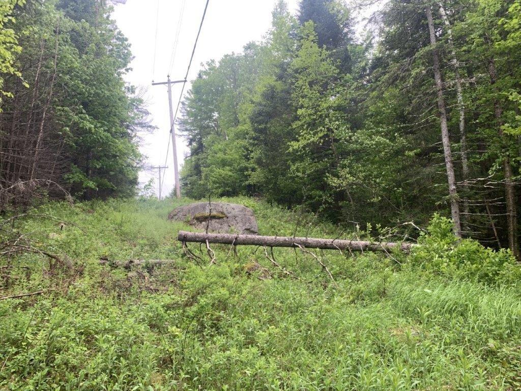 












Ch. de St-Michel

,
Brownsburg-Chatham,







QC
J8G2N3

