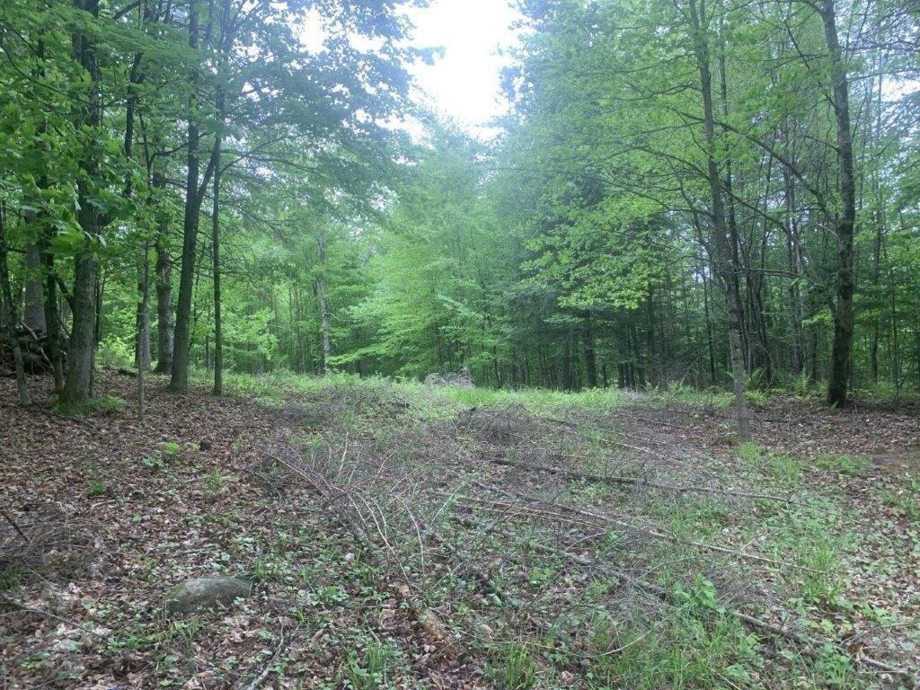 












Ch. de St-Michel

,
Brownsburg-Chatham,







QC
J8G2N3

