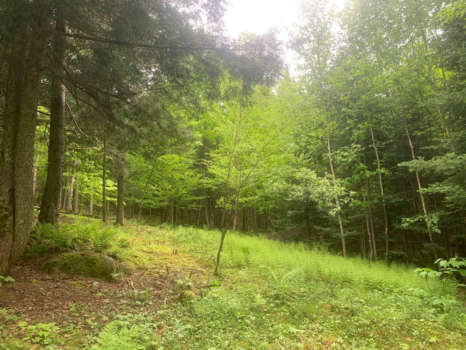 












Ch. de St-Michel

,
Brownsburg-Chatham,







QC
J8G2N3

