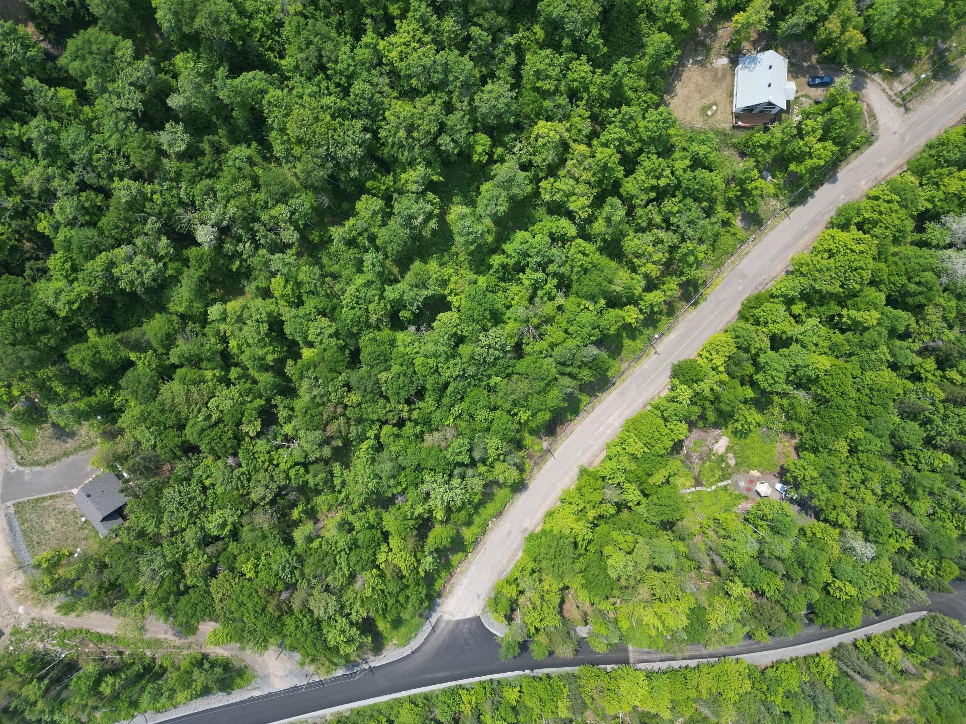 












Mtée Marier

,
Sainte-Marguerite-du-Lac-Masson,







QC
J0T1L0

