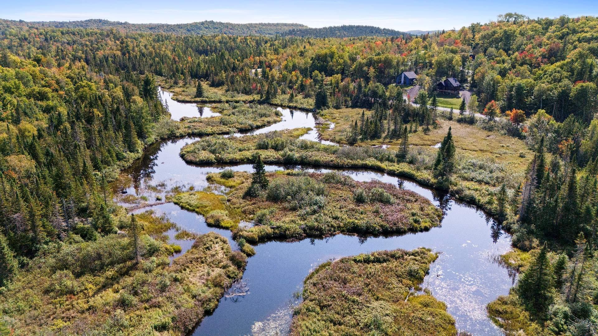












Mtée Marier

,
Sainte-Marguerite-du-Lac-Masson,







QC
J0T1L0

