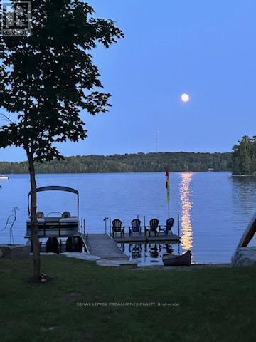 












1134 NORTH SHORE ROAD

,
Frontenac (Frontenac North),




Ontario
K0H2M0

