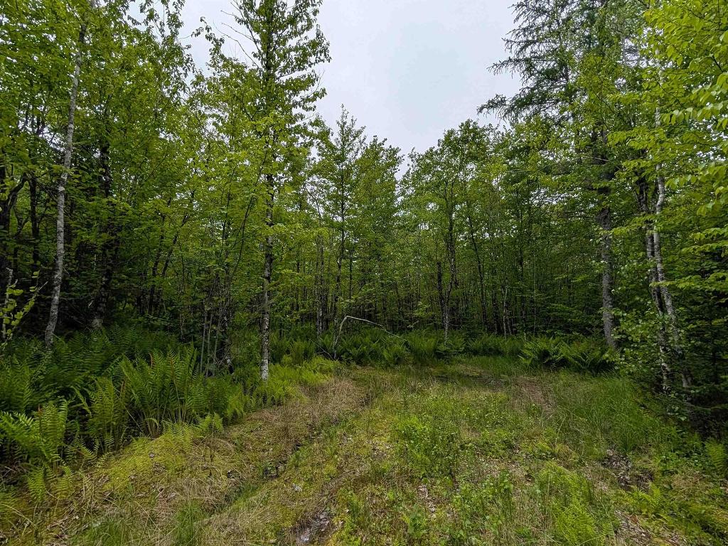 












CM2J Lot CM2J Mackenzie Lane

,
Mount Uniacke,







NS
B0N 1Z0

