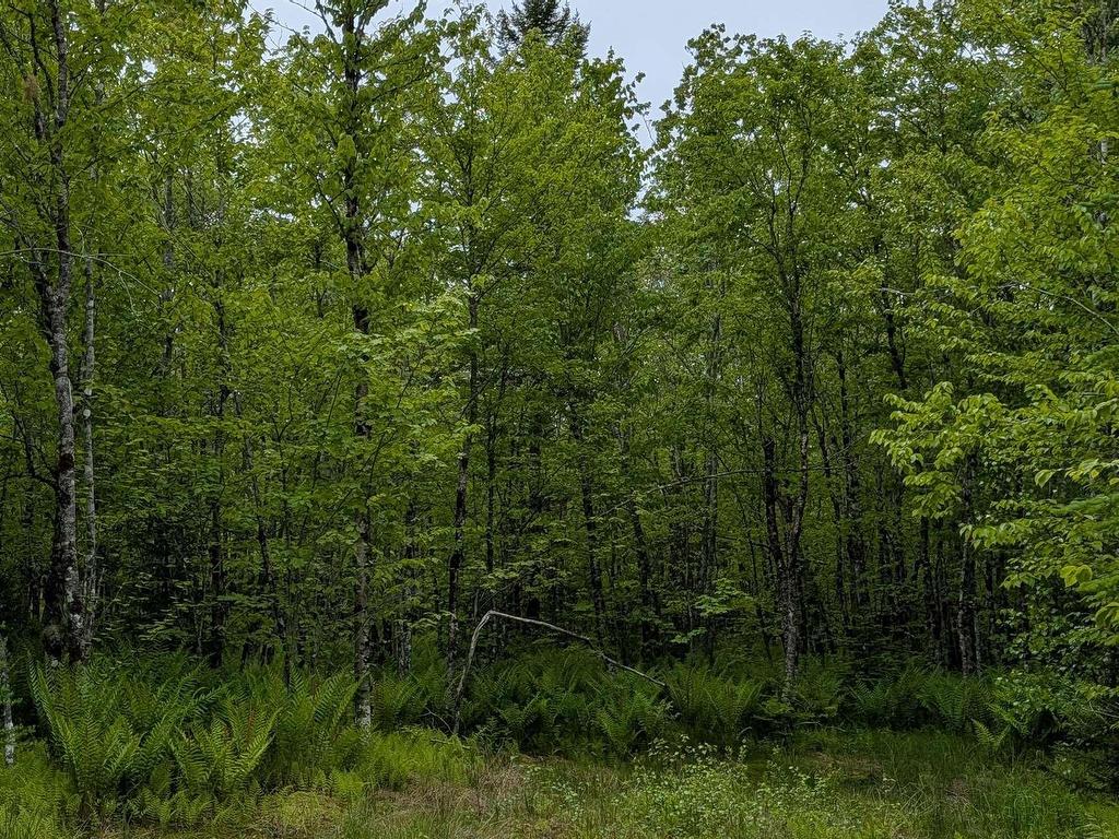












CM2J Lot CM2J Mackenzie Lane

,
Mount Uniacke,







NS
B0N 1Z0

