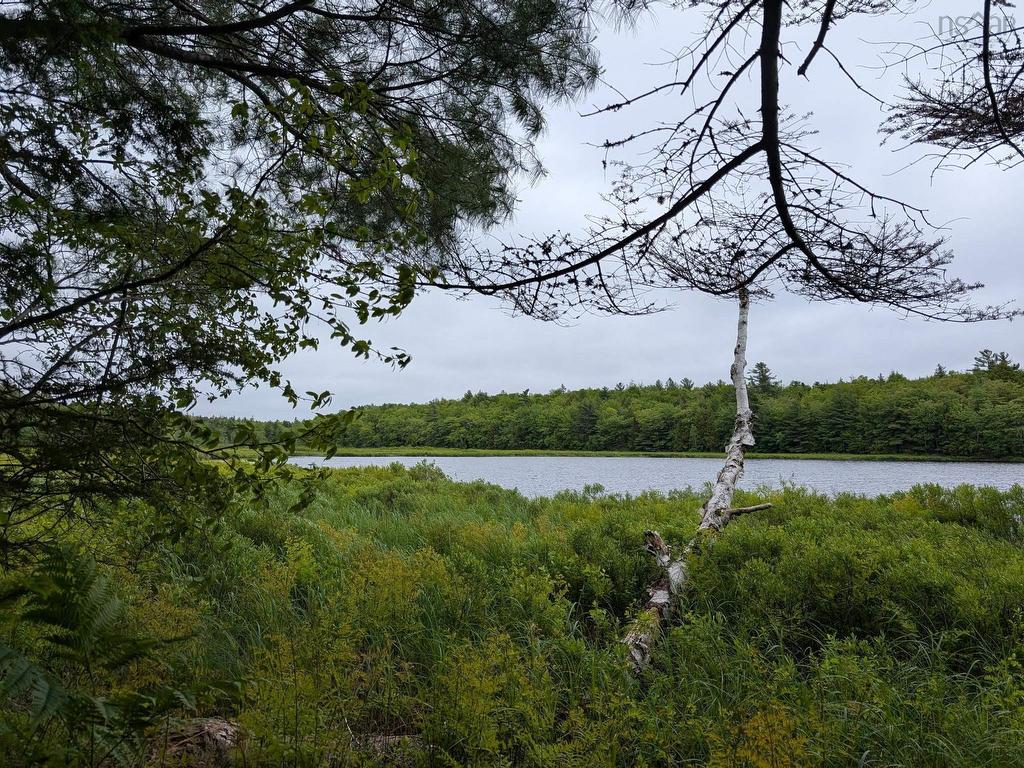 












67 Station Road

,
Beaver Bank,







NS
B4G 1C8

